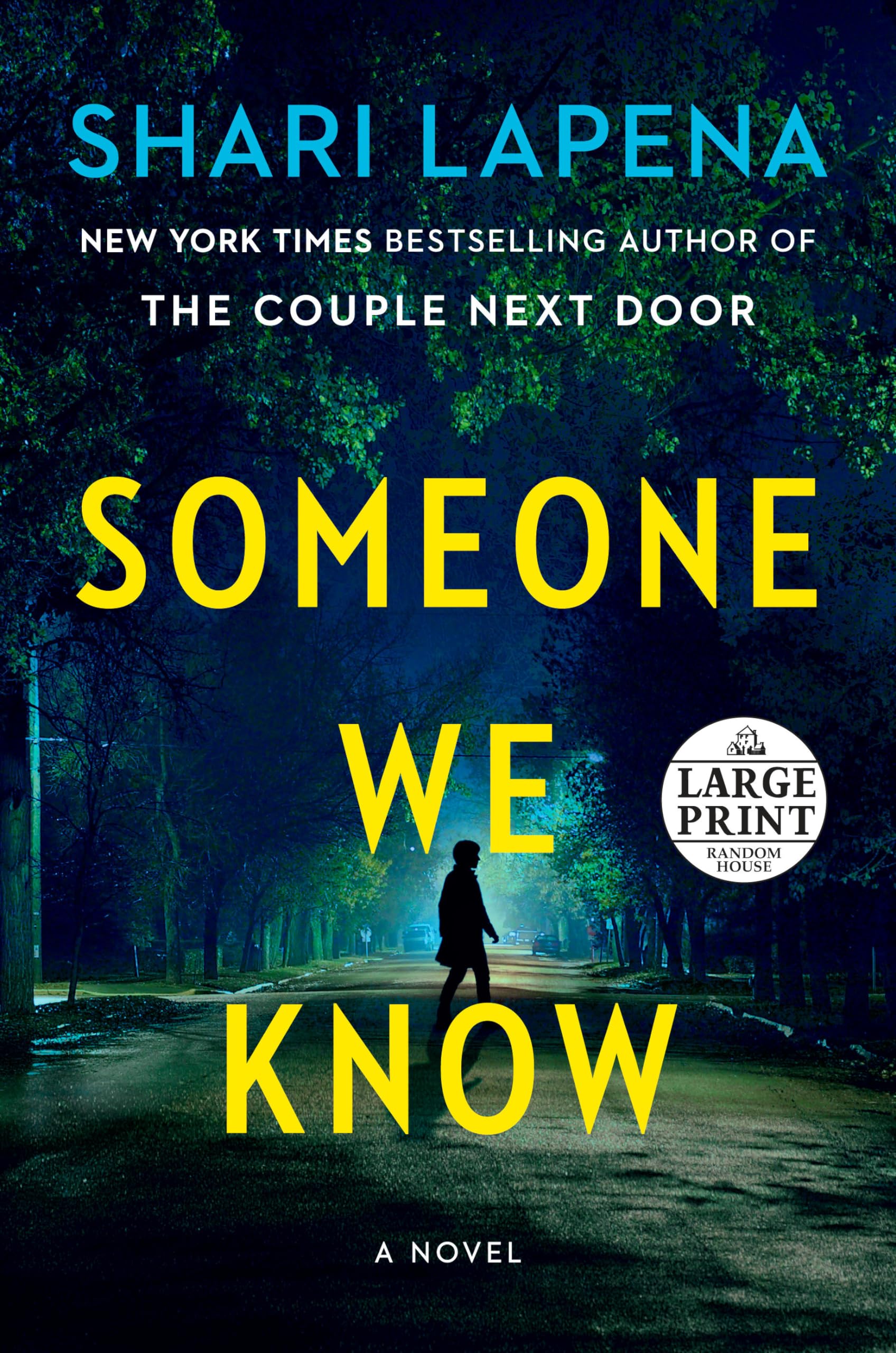 Someone We Know: A Novel,Used