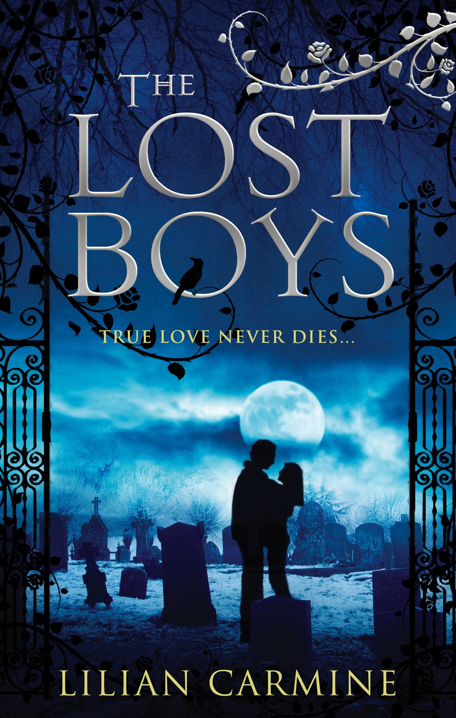 The Lost Boys (1),Used