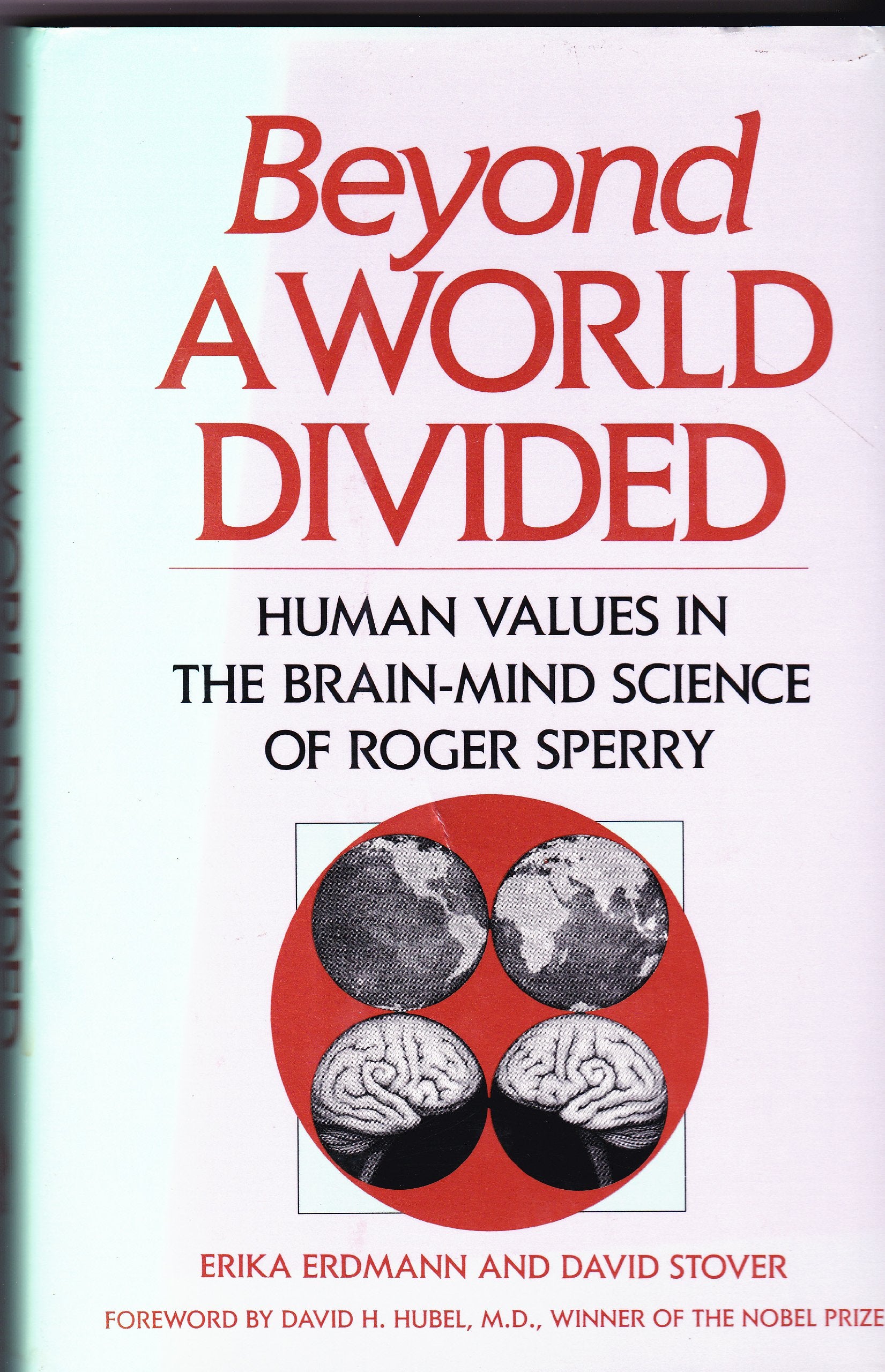 Beyond a World Divided,Used