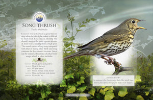 Little Book Of The Dawn Chorus,Used