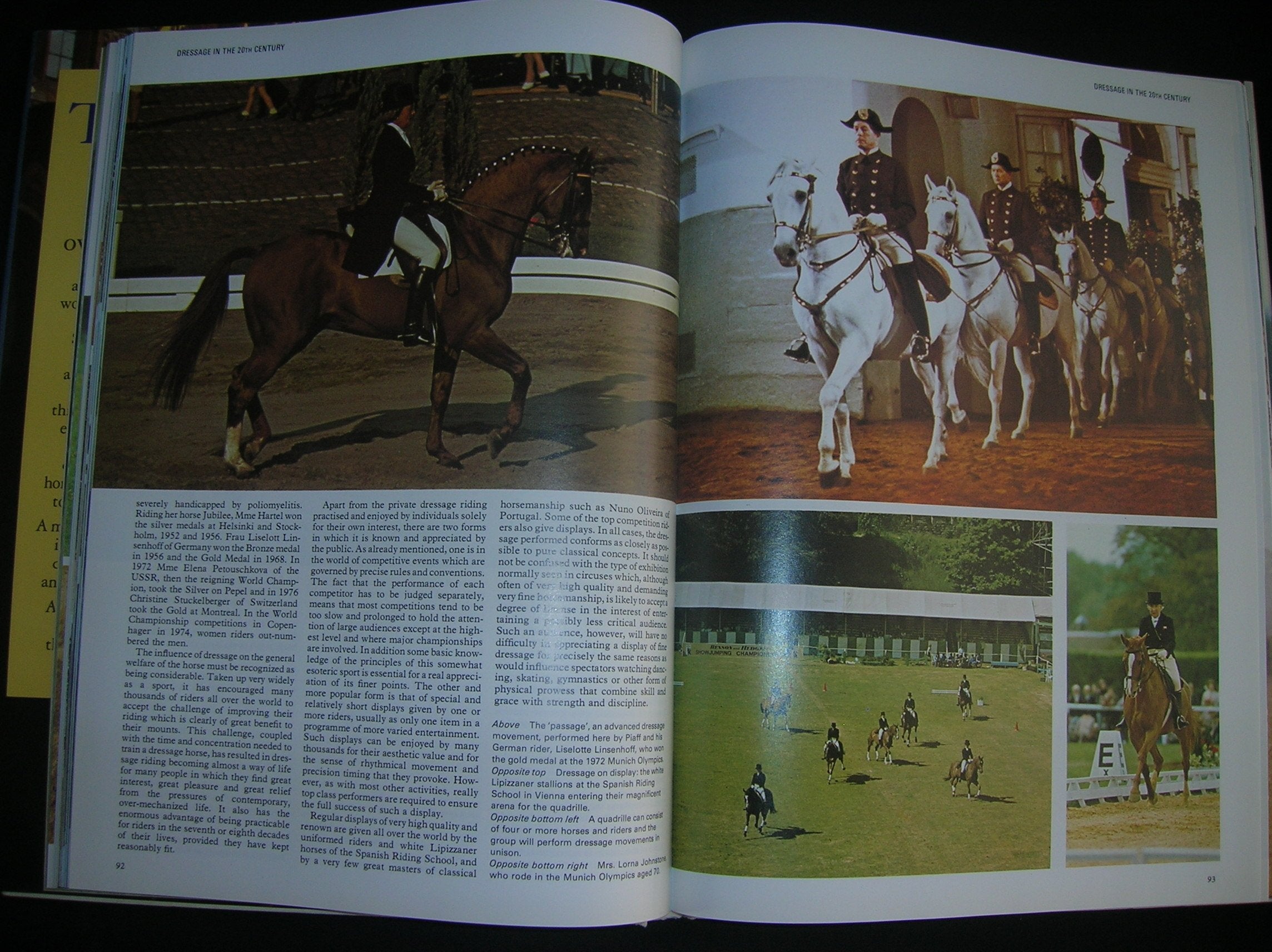 Encyclopedia of the Horse - Comprehensive Guide to Equine Care, Breeds, and Riding Techniques