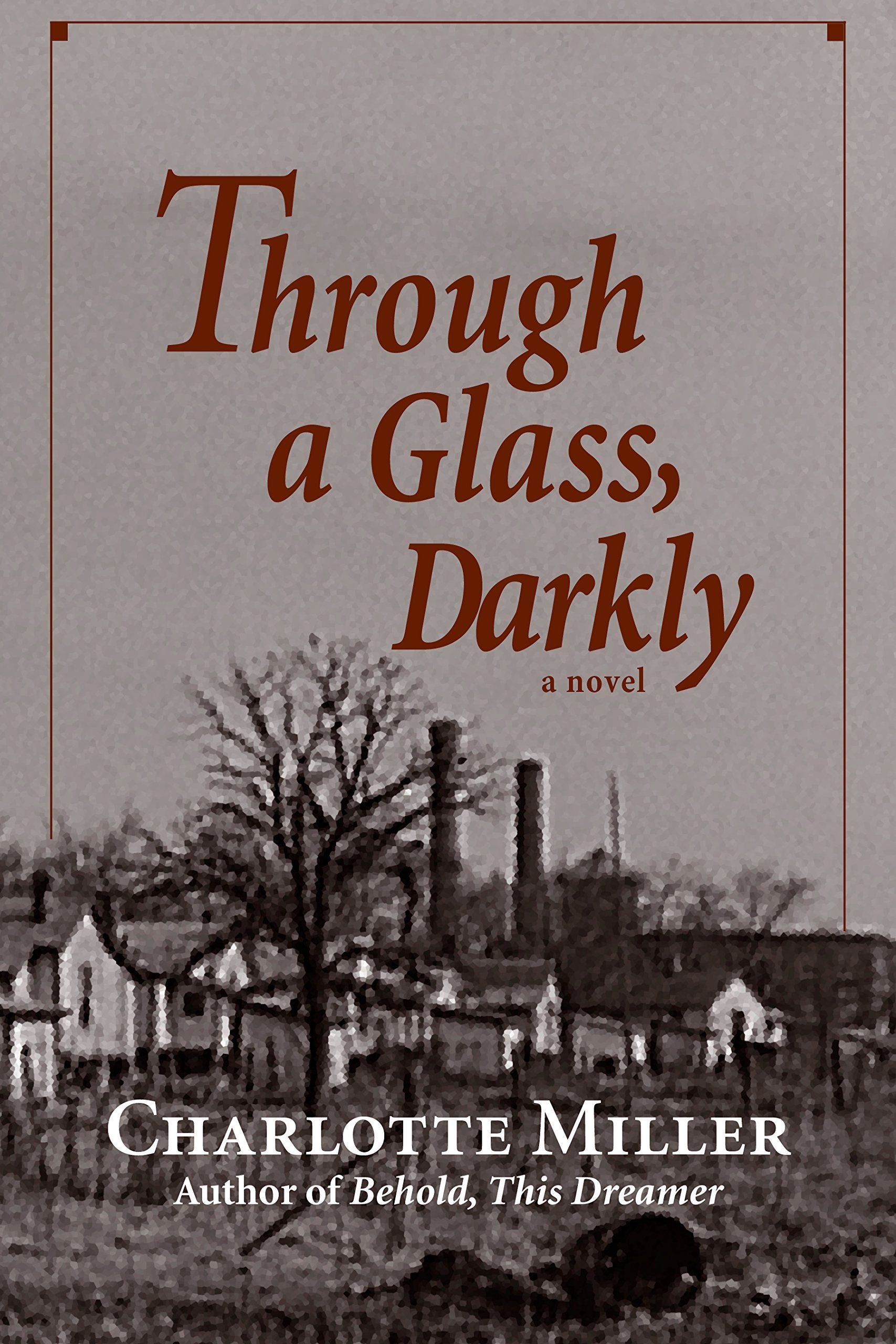 Through a Glass, Darkly: A Novel,Used