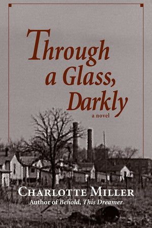 Through a Glass, Darkly: A Novel,Used