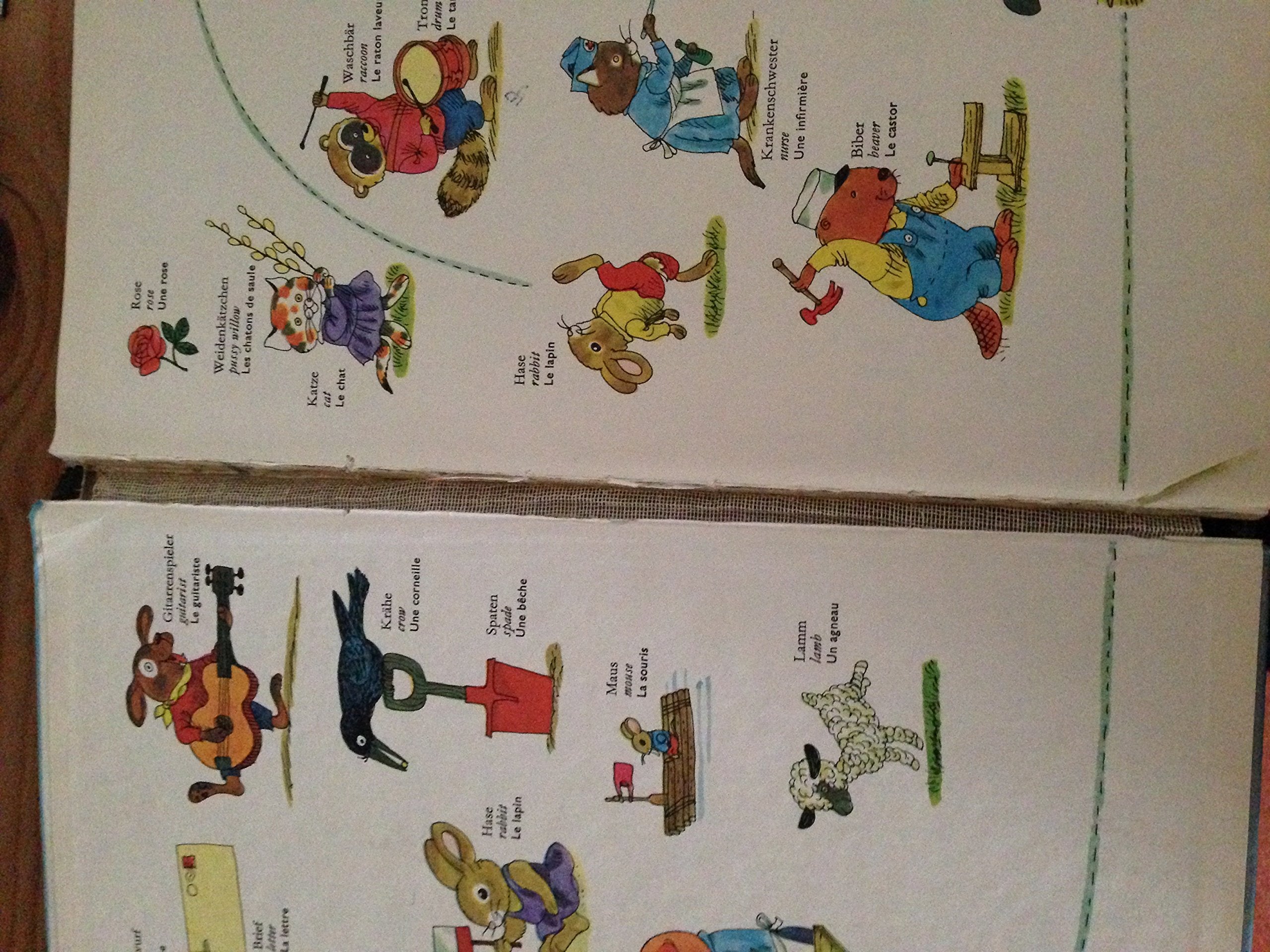 Mein Allerschonstes Worterbuch,Used
