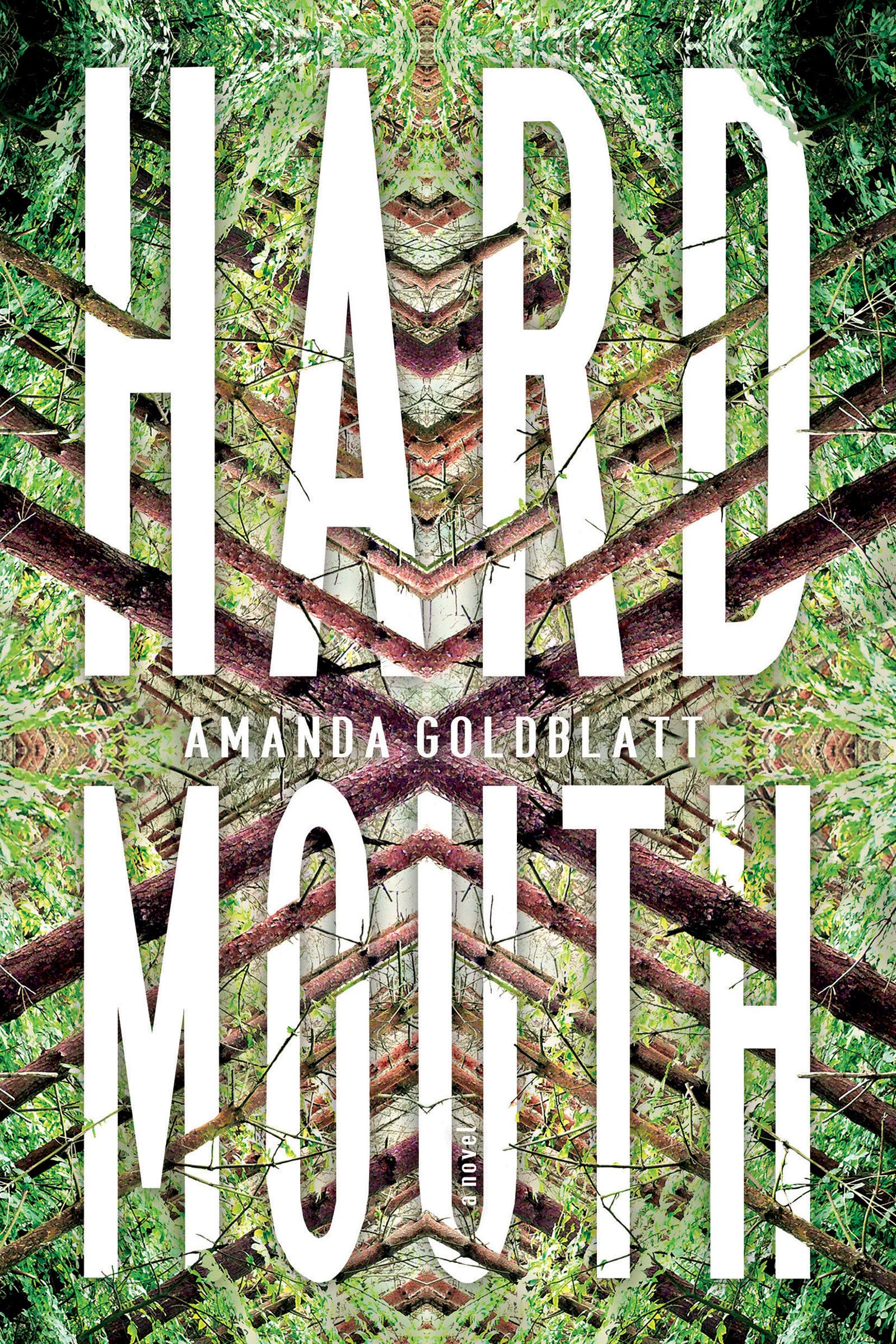 Hard Mouth: A Novel,Used