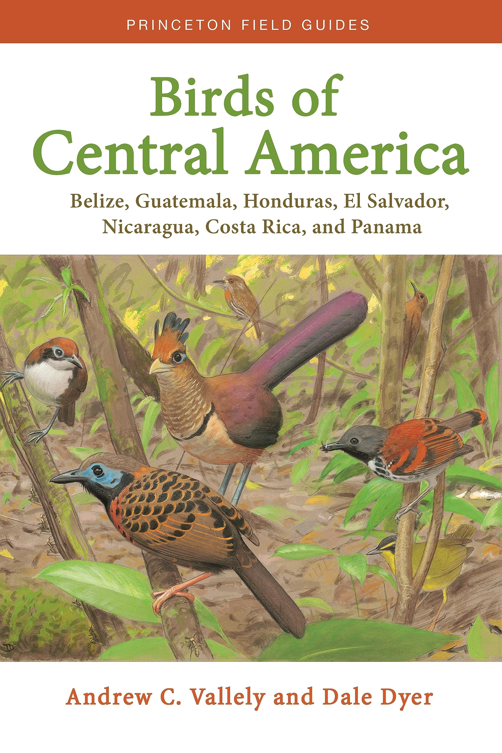Birds of Central America: Belize, Guatemala, Honduras, El Salvador, Nicaragua, Costa Rica, and Panama (Princeton Field Guides),Used