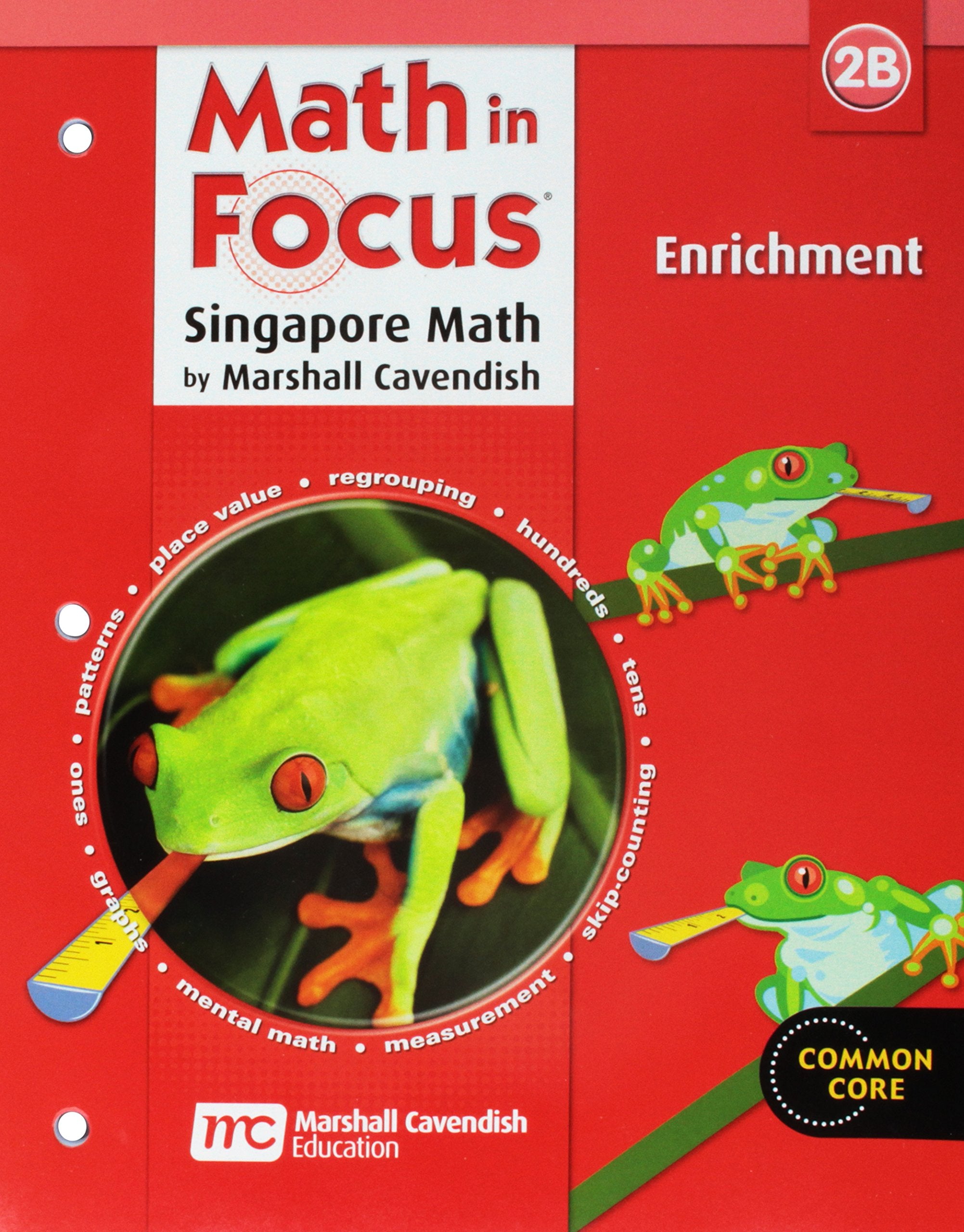 Enrichment Workbook Grade 2: Book B (Math in Focus: Singapore Math),Used