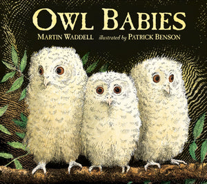 Owl Babies 25th ANNIVERSARY ED BOARD,Used