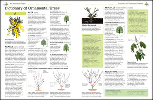 Pruning and Training, Revised New Edition: What, When, and How to Prune,Used