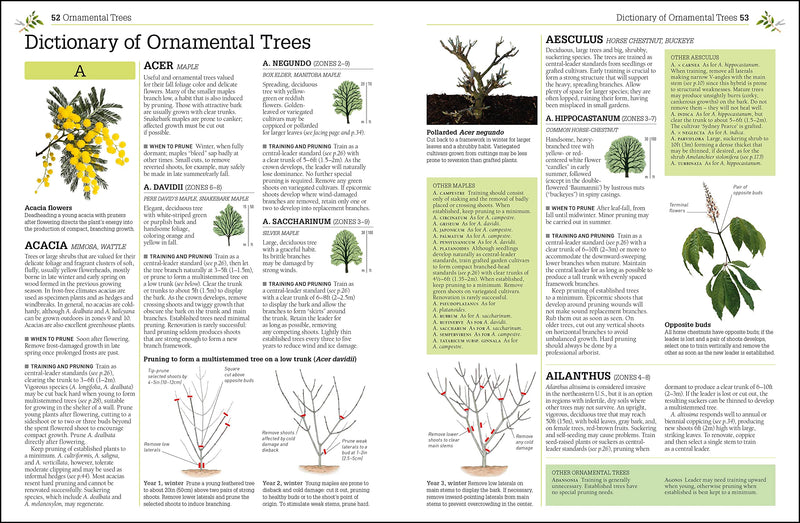 Pruning and Training, Revised New Edition: What, When, and How to Prune,Used