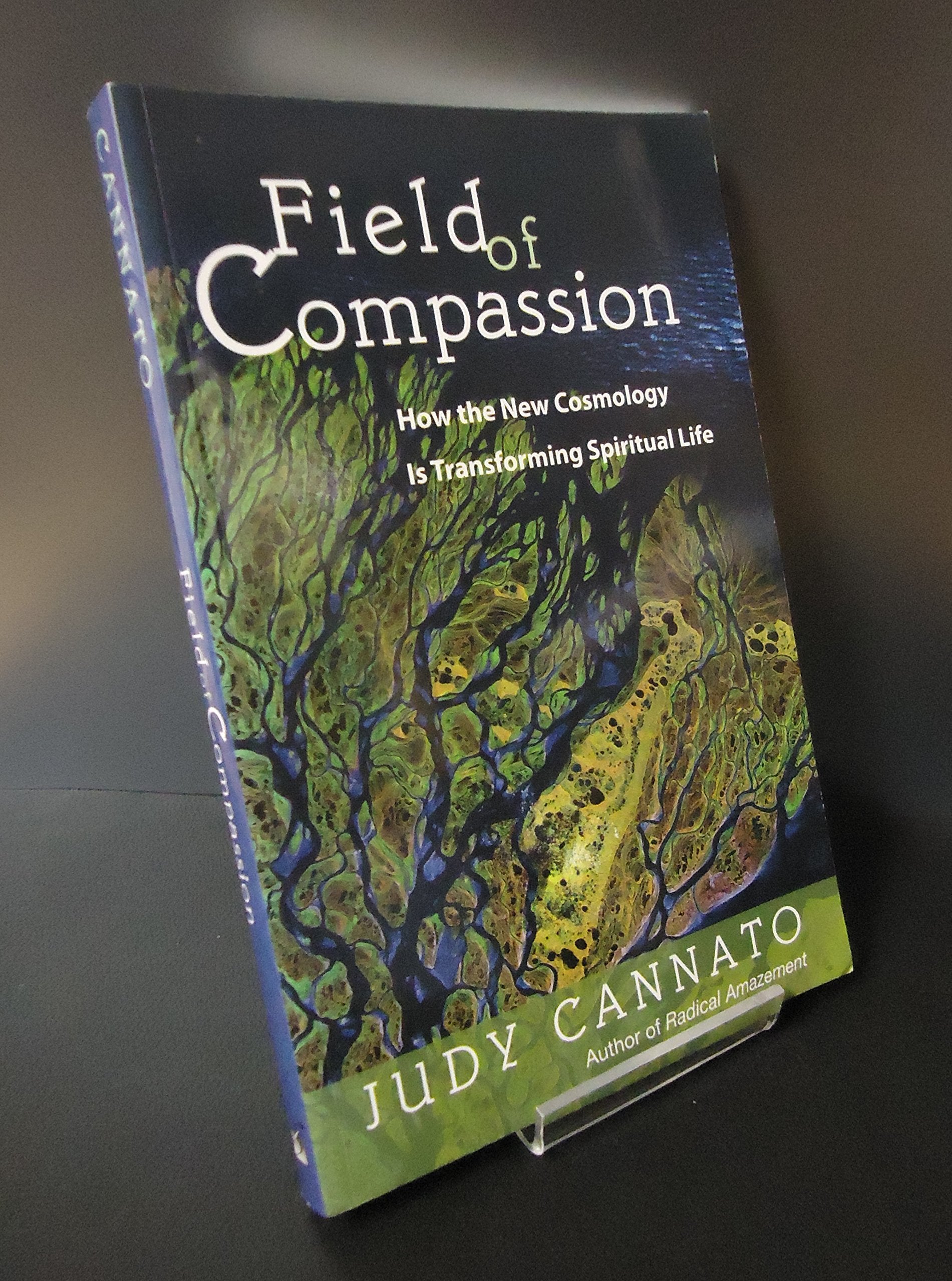 Field of Compassion: How the New Cosmology Is Transforming Spiritual Life,Used