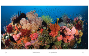 The World Beneath: The Life and Times of Unknown Sea Creatures and Coral Reefs,Used