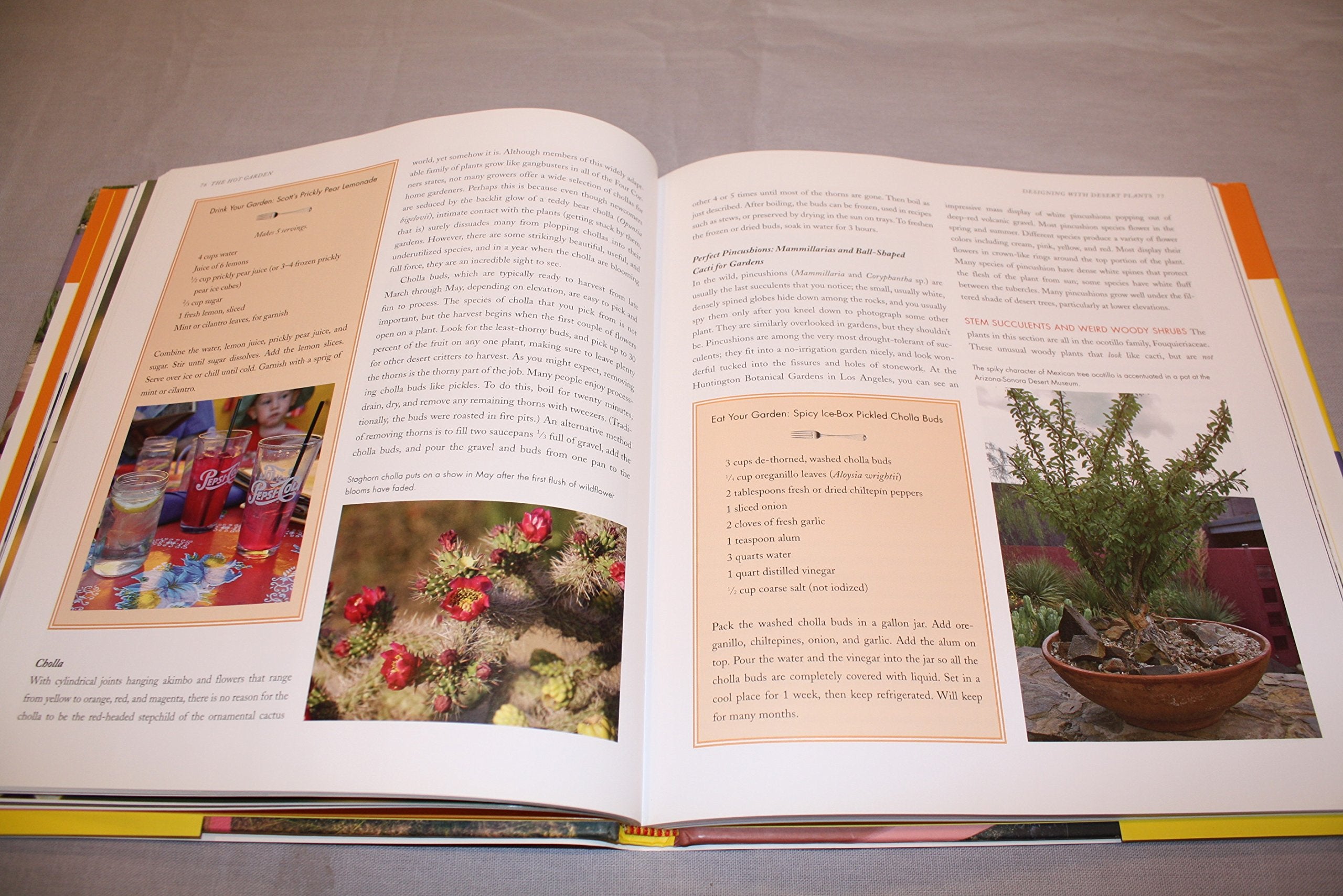 The Hot Garden: Landscape Design for the Desert Southwest,New
