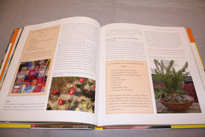 The Hot Garden: Landscape Design for the Desert Southwest,New