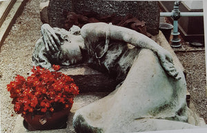 Beautiful Death: The Art of the Cemetery (Penguin Studio Books),Used