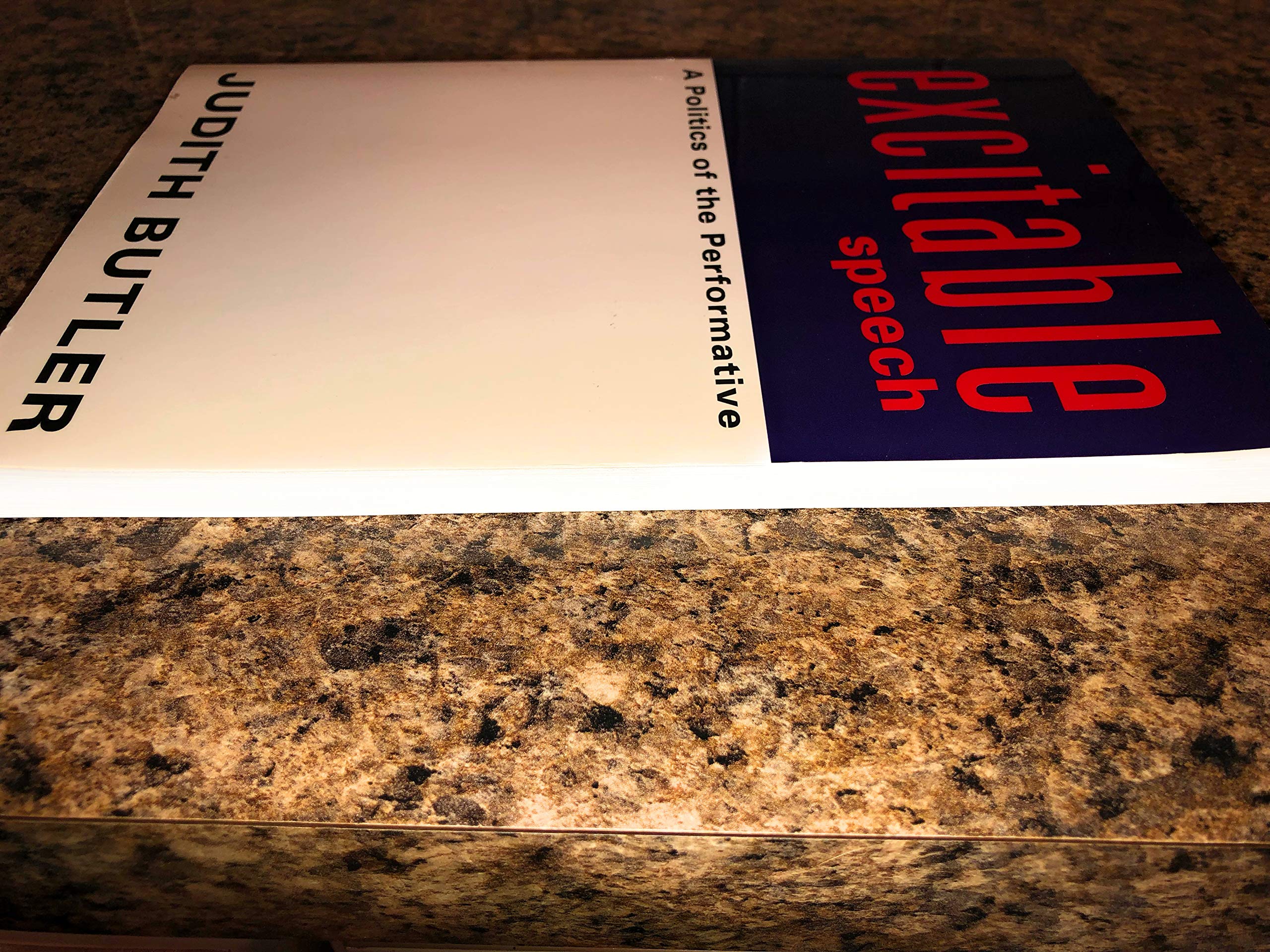 Excitable Speech: A Politics Of The Performative,New