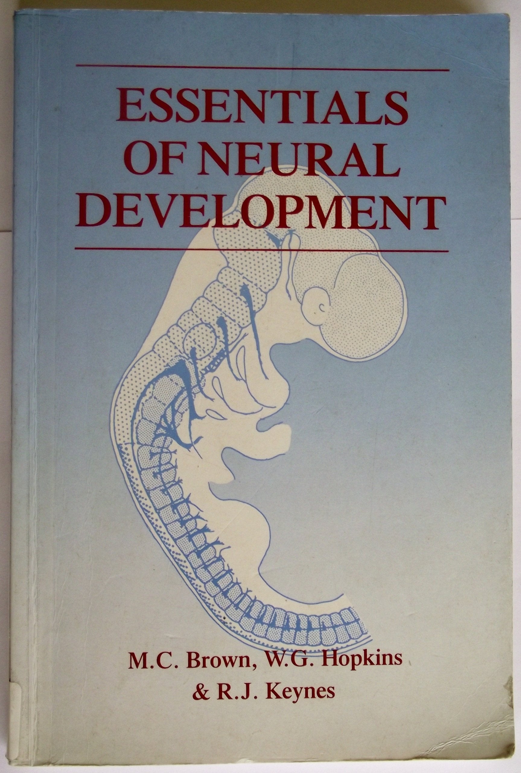 Essentials of Neural Development