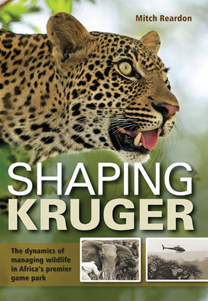Shaping Kruger,Used