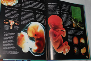 The Usborne Introduction To Genes & Dna: Internet Linked (Usborne Introductions),Used