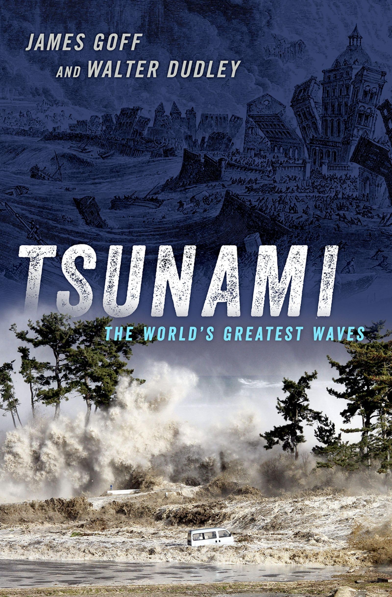 Tsunami: The World's Greatest Waves,Used
