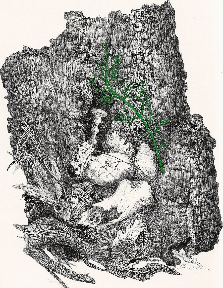 A Sabbath Among the Ruins,Used