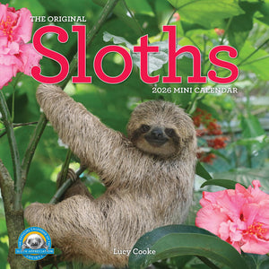 Cal 26 Original Sloths