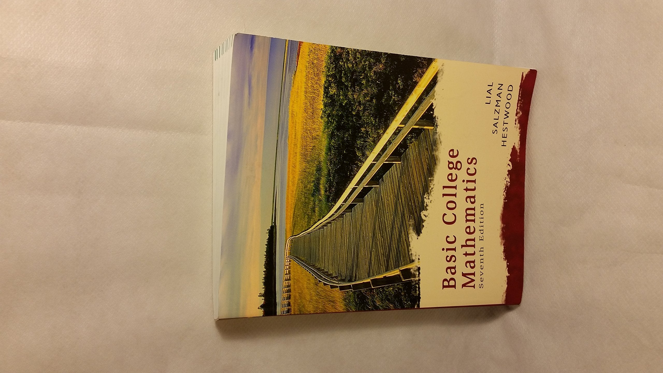 Basic College Mathematics,Used