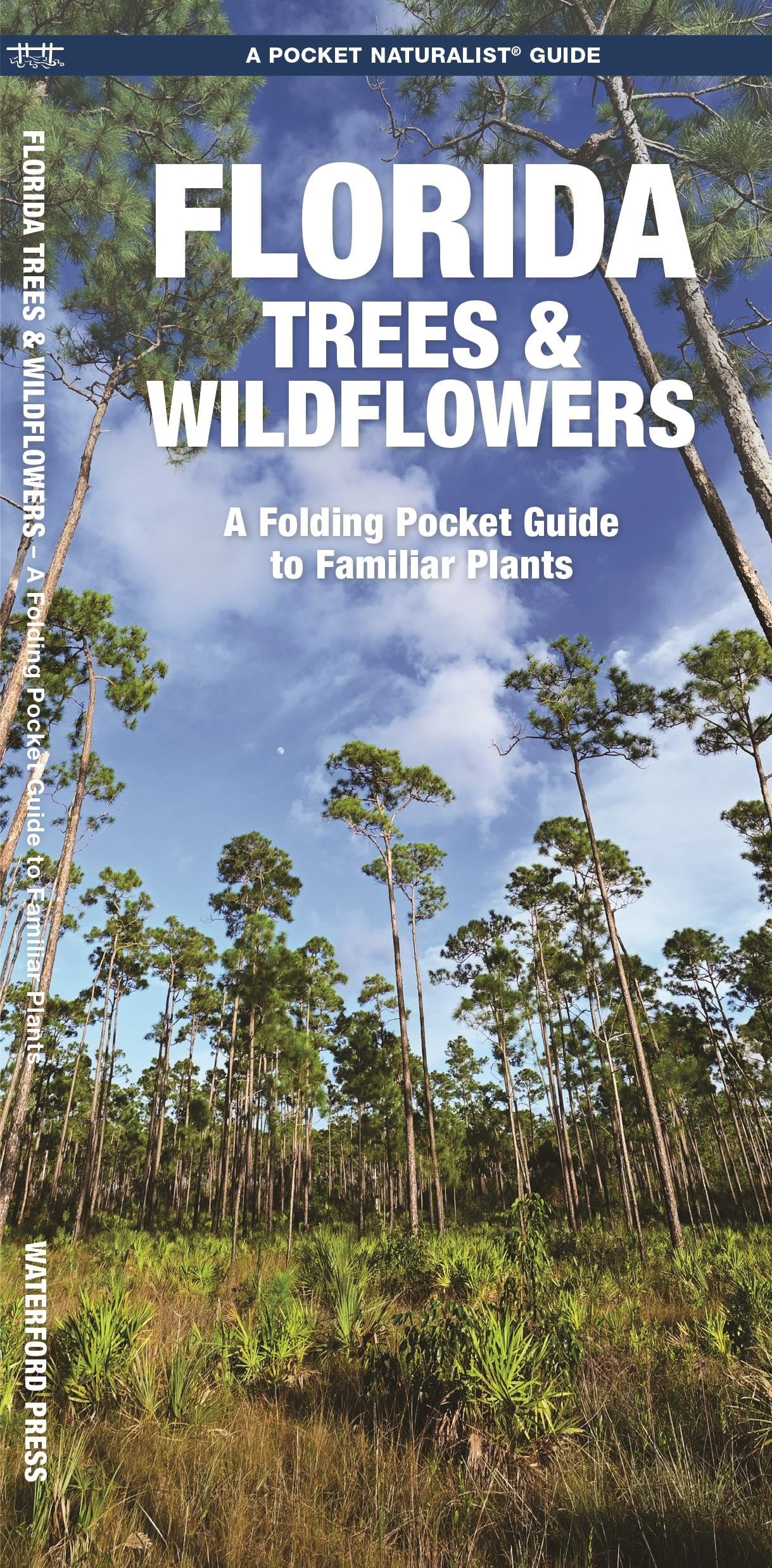 Florida Trees & Wildflowers: A Folding Pocket Guide to Familiar Plants (Wildlife and Nature Identification),Used