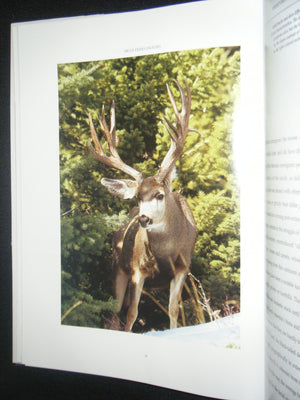 Mule Deer Country,New