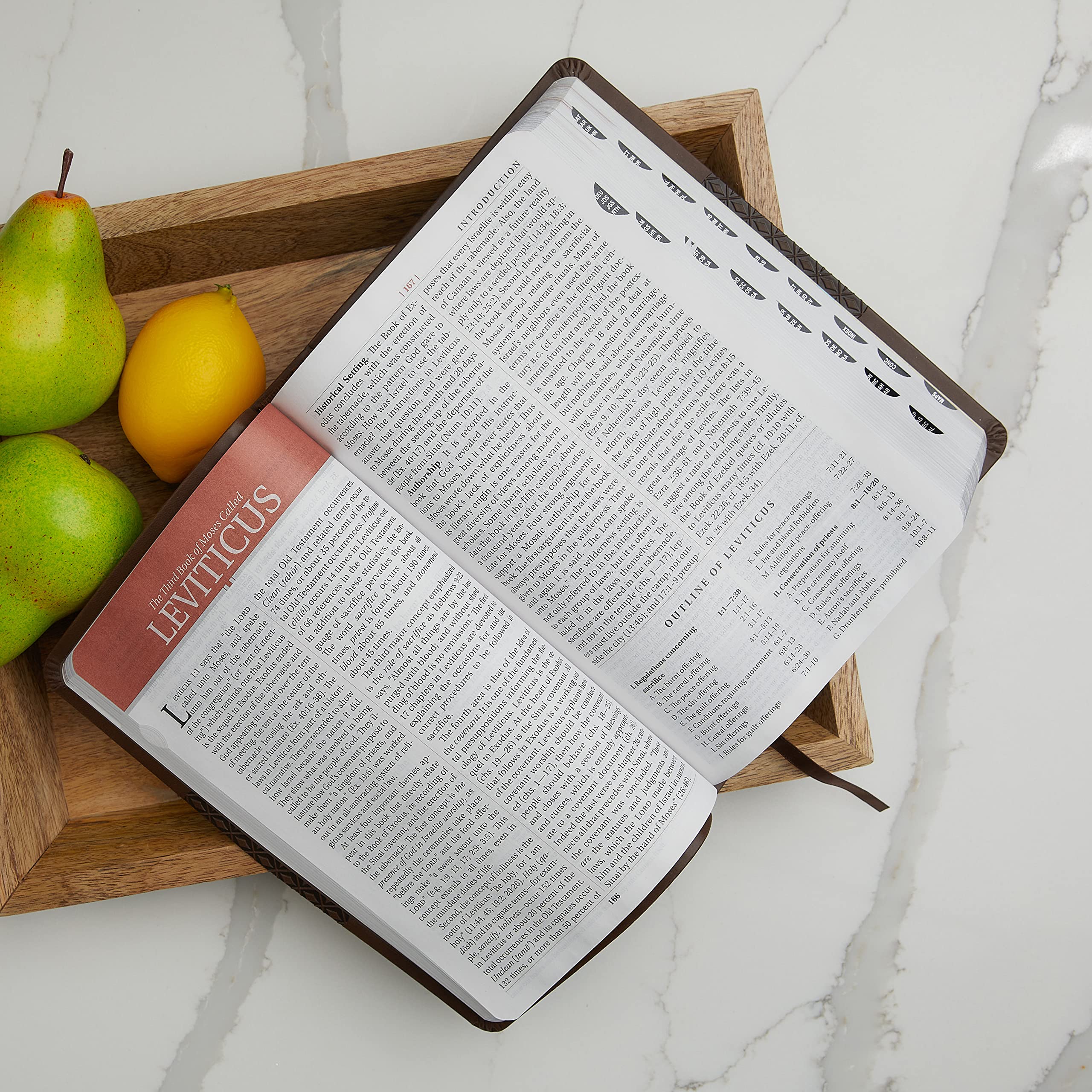 KJV Study Bible, Leathersoft, Red/Pink, Thumb Indexed, Red Letter: Second Edition,Used