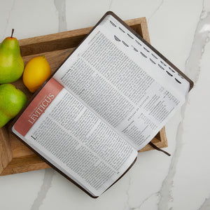 KJV Study Bible, Leathersoft, Red/Pink, Thumb Indexed, Red Letter: Second Edition,Used