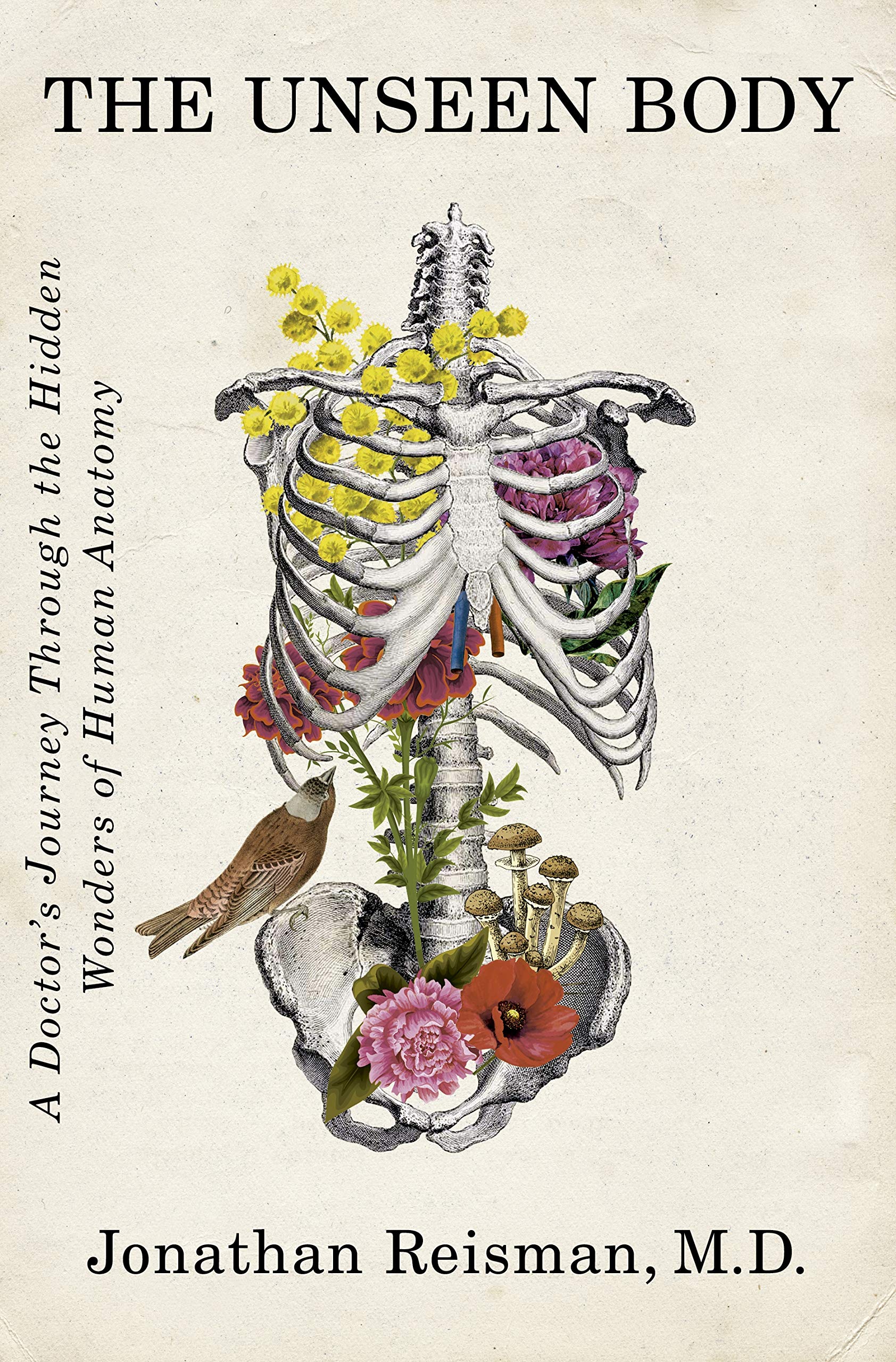 The Unseen Body: A Doctor'S Journey Through The Hidden Wonders Of Human Anatomy,New