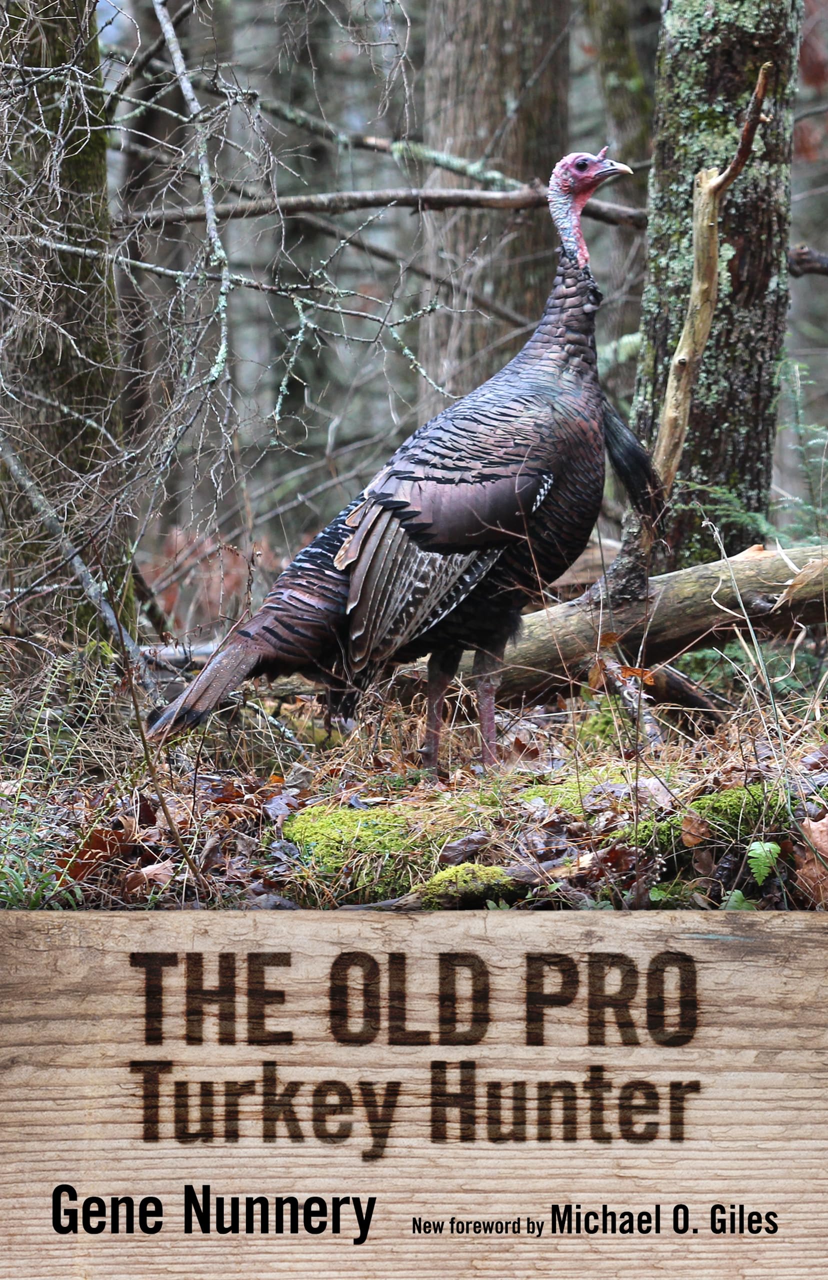 The Old Pro Turkey Hunter,Used