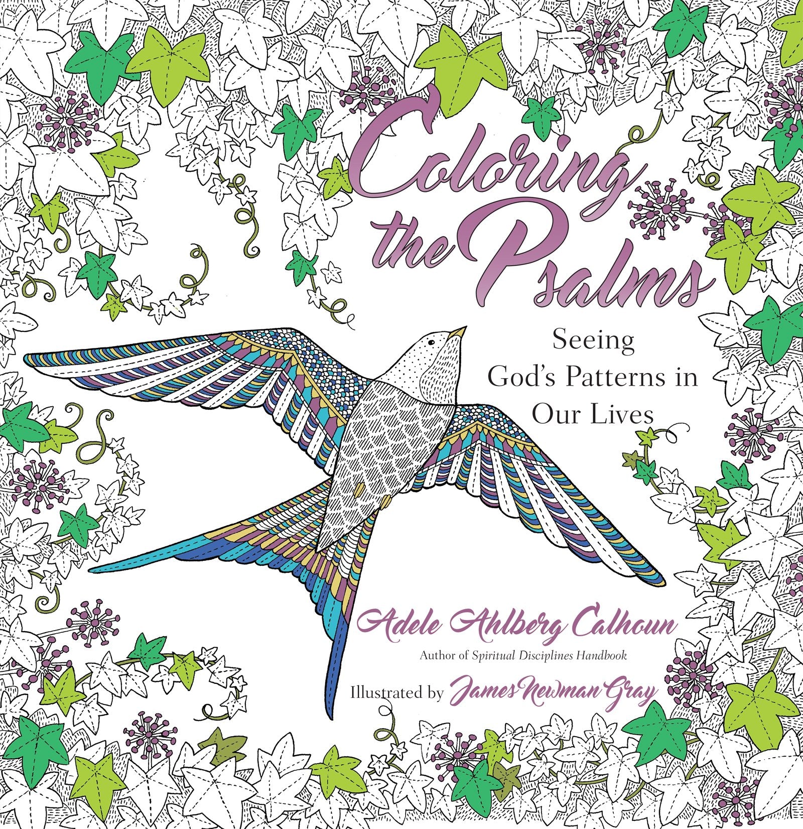 Coloring the Psalms: Seeing God's Patterns in Our Lives,Used