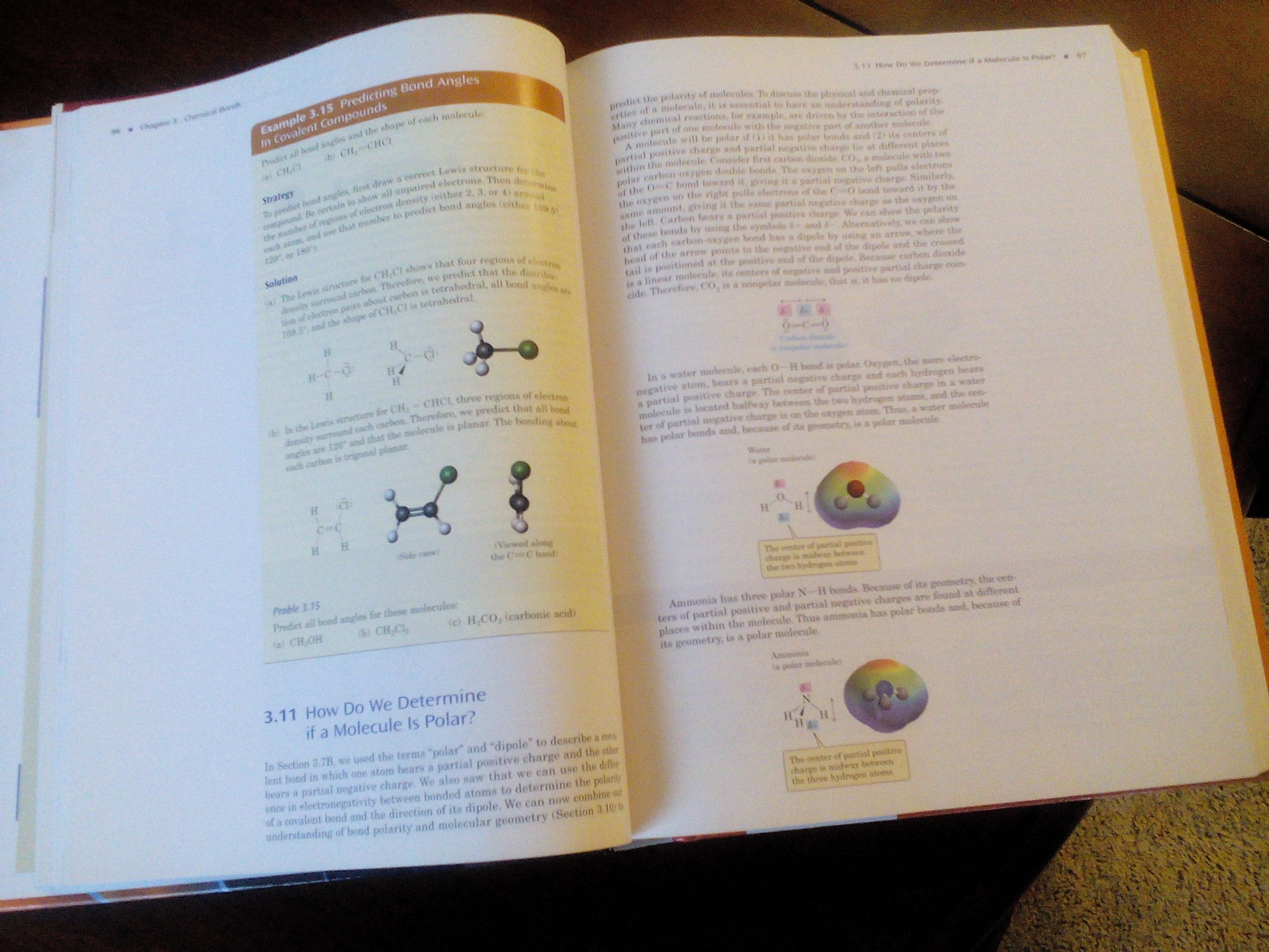 Introduction to General, Organic and Biochemistry,New