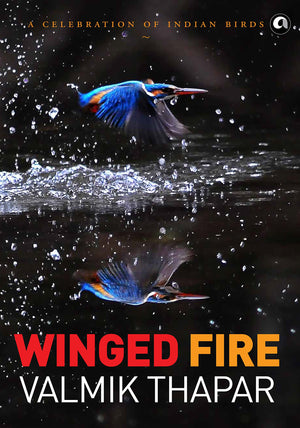Winged Fire: A Celebration Of Indian Birds, Part 3 Of The Indian Wildlife Trilogy