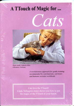 Getting in TTouch with your Cat