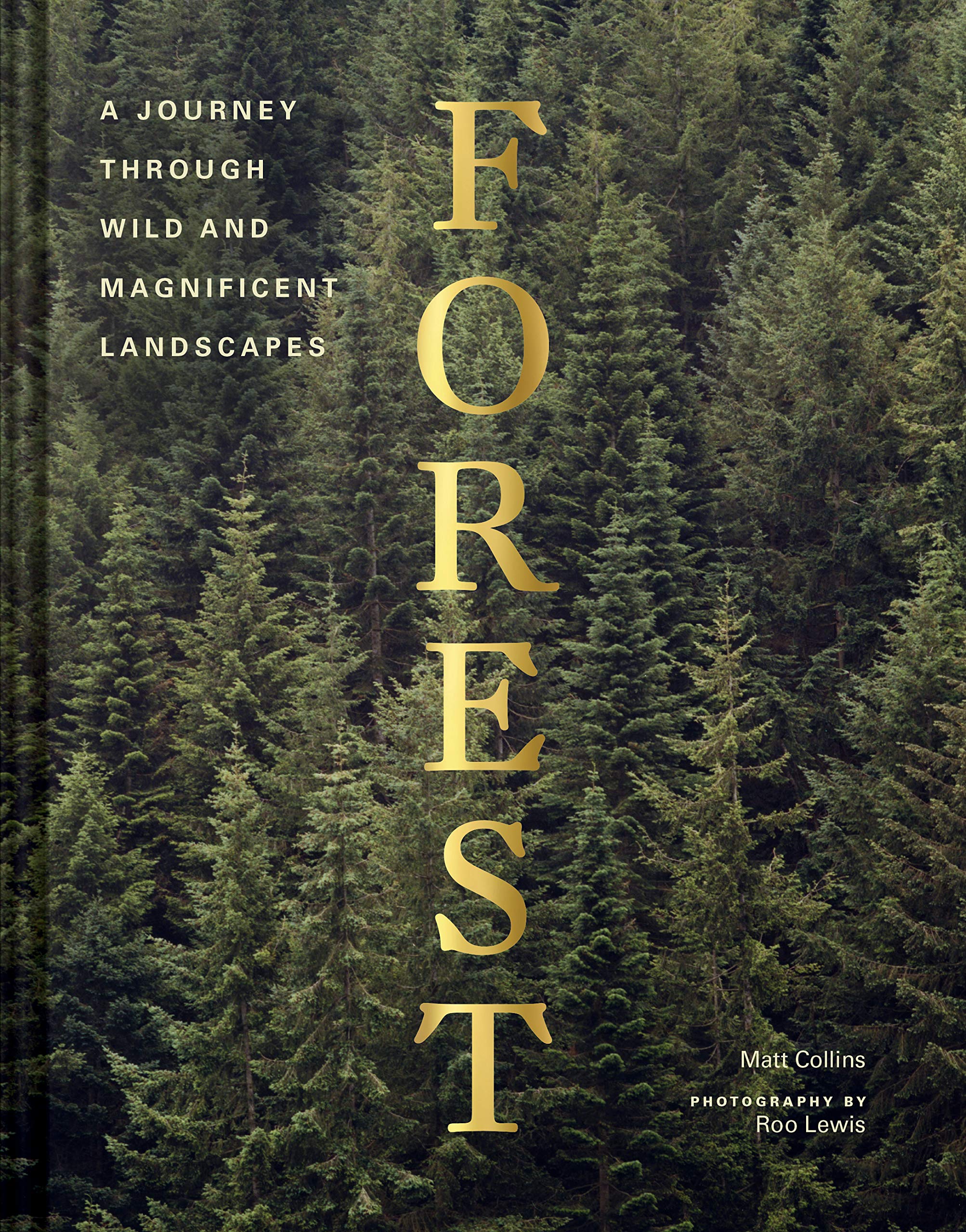 Forest: (Tree Photography Book, Nature And World Photo Book)