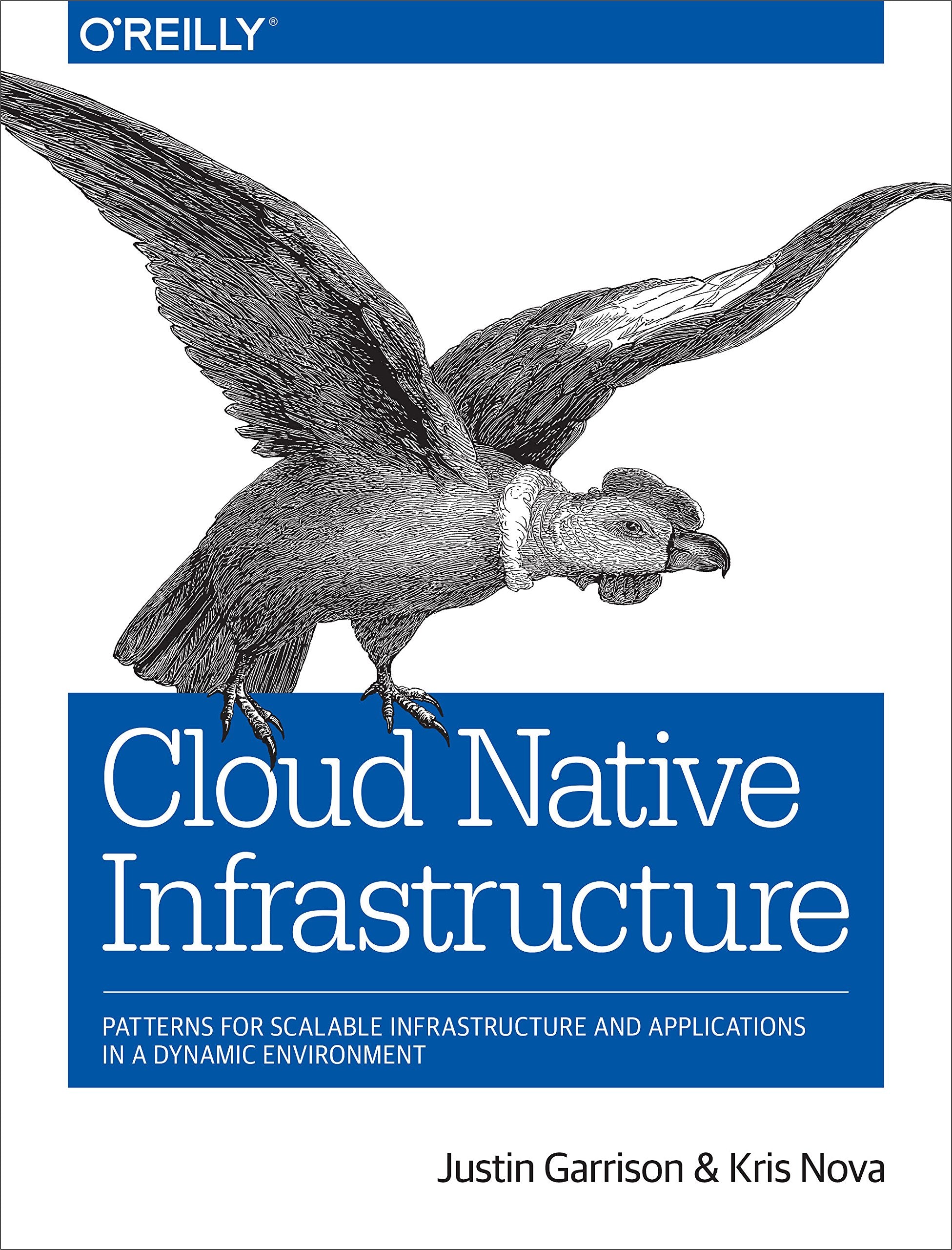 Cloud Native Infrastructure: Patterns for Scalable Infrastructure and Applications in a Dynamic Environment,Used