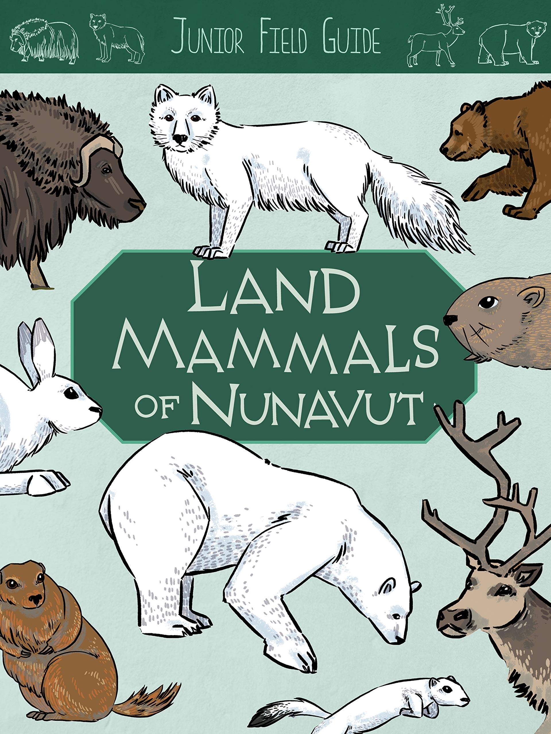 Junior Field Guide: Land Mammals: English Edition (Junior Field Guides),Used