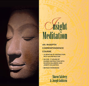 Insight Meditation: An Indepth Correspondence Course
