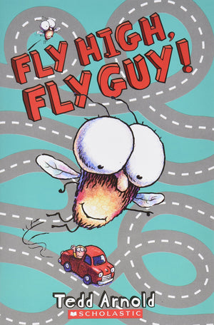 Fly High, Fly Guy!  2008 publication,Used