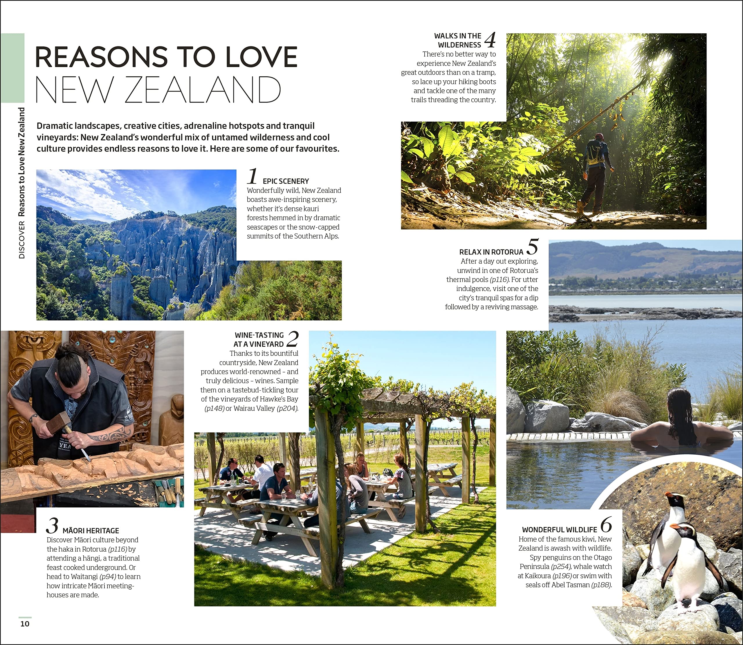 DK New Zealand Travel Guide - Multicolor Edition for Adventurers and Travelers