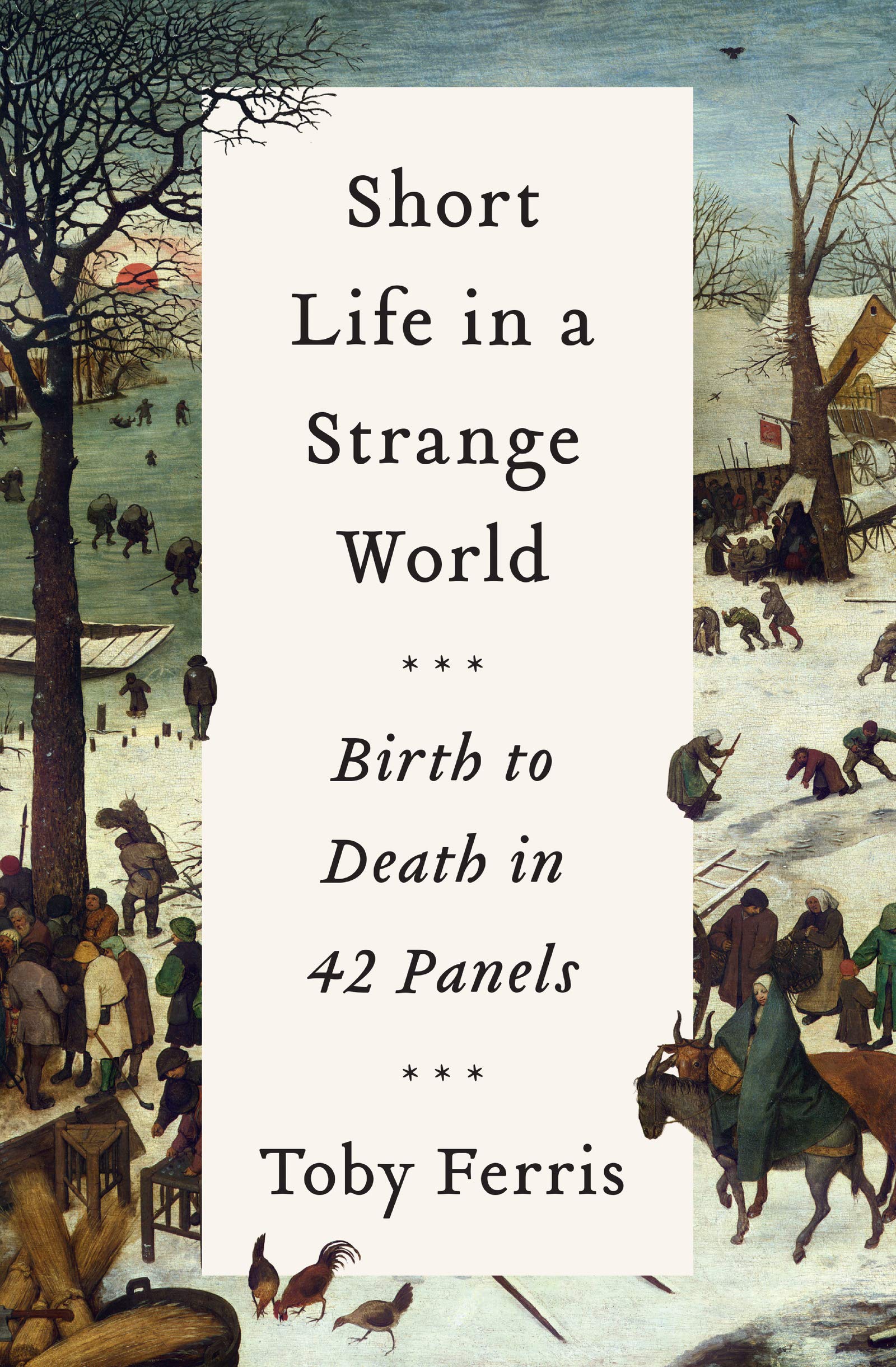 Short Life In A Strange World: Birth To Death In 42 Panels,New