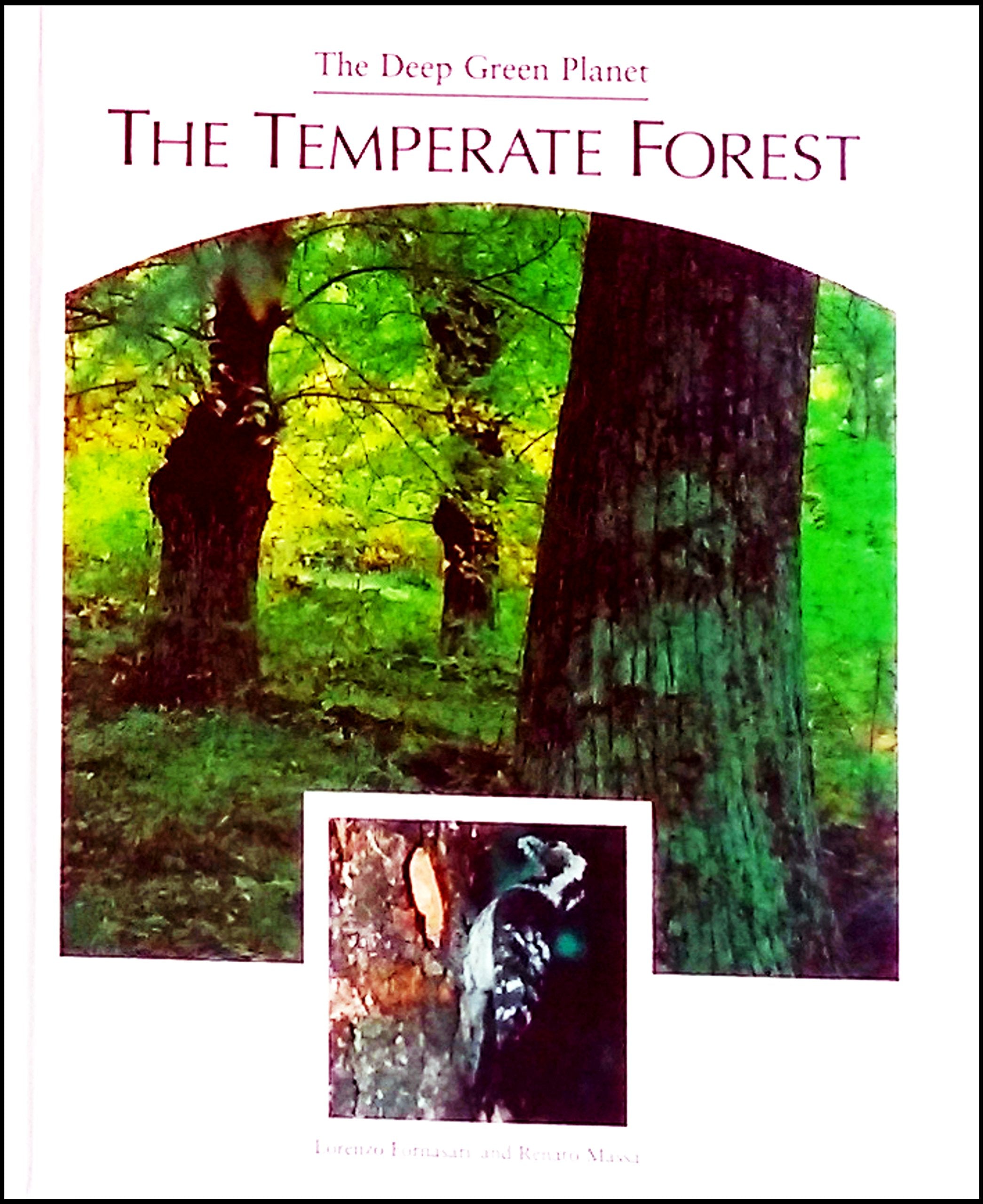 The Temperate Forest (2) (Deep Green Planet),Used