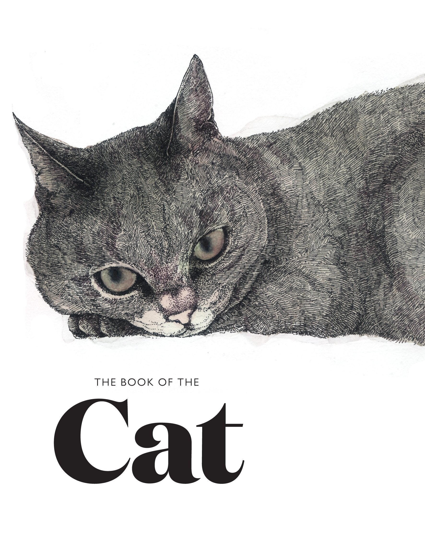 The Book Of The Cat: Cats In Art