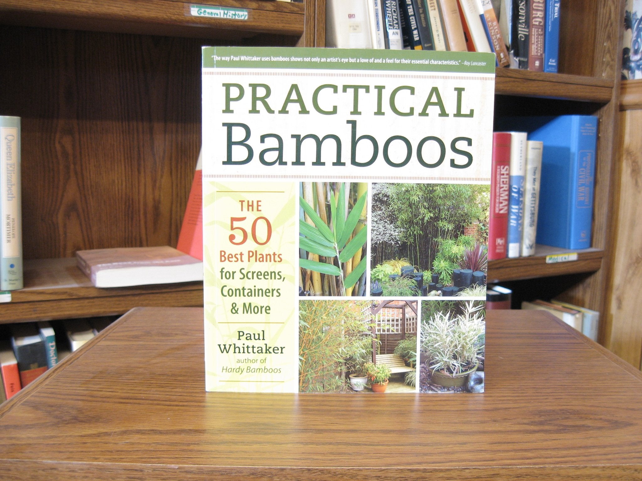 Practical Bamboos: The 50 Best Plants for Screens, Containers and More,Used