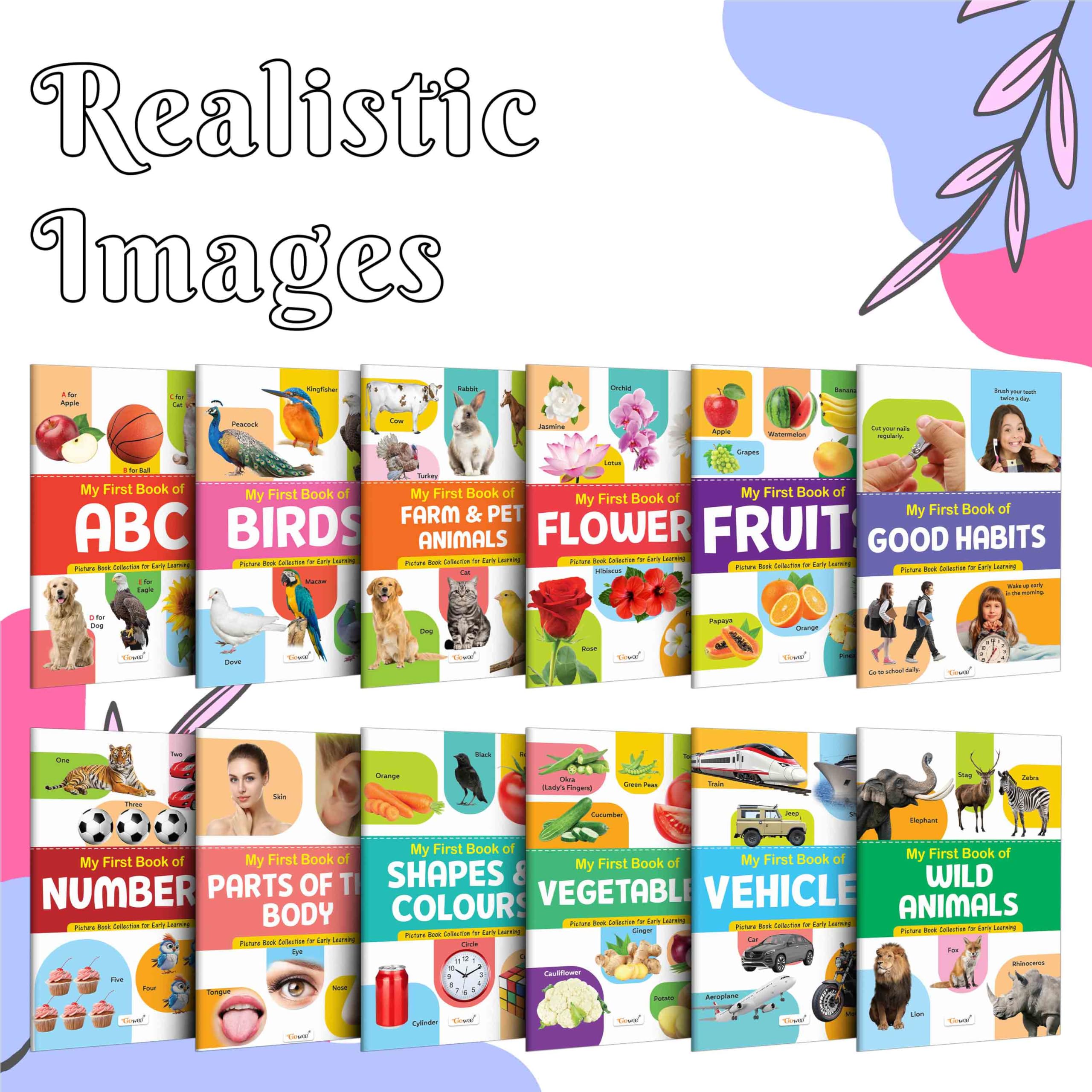 My First Picture Book Collection For Early Learning : Collection Of Early Learning Books, Preschool Kids Book, 12 Topics Learning Books For Kids