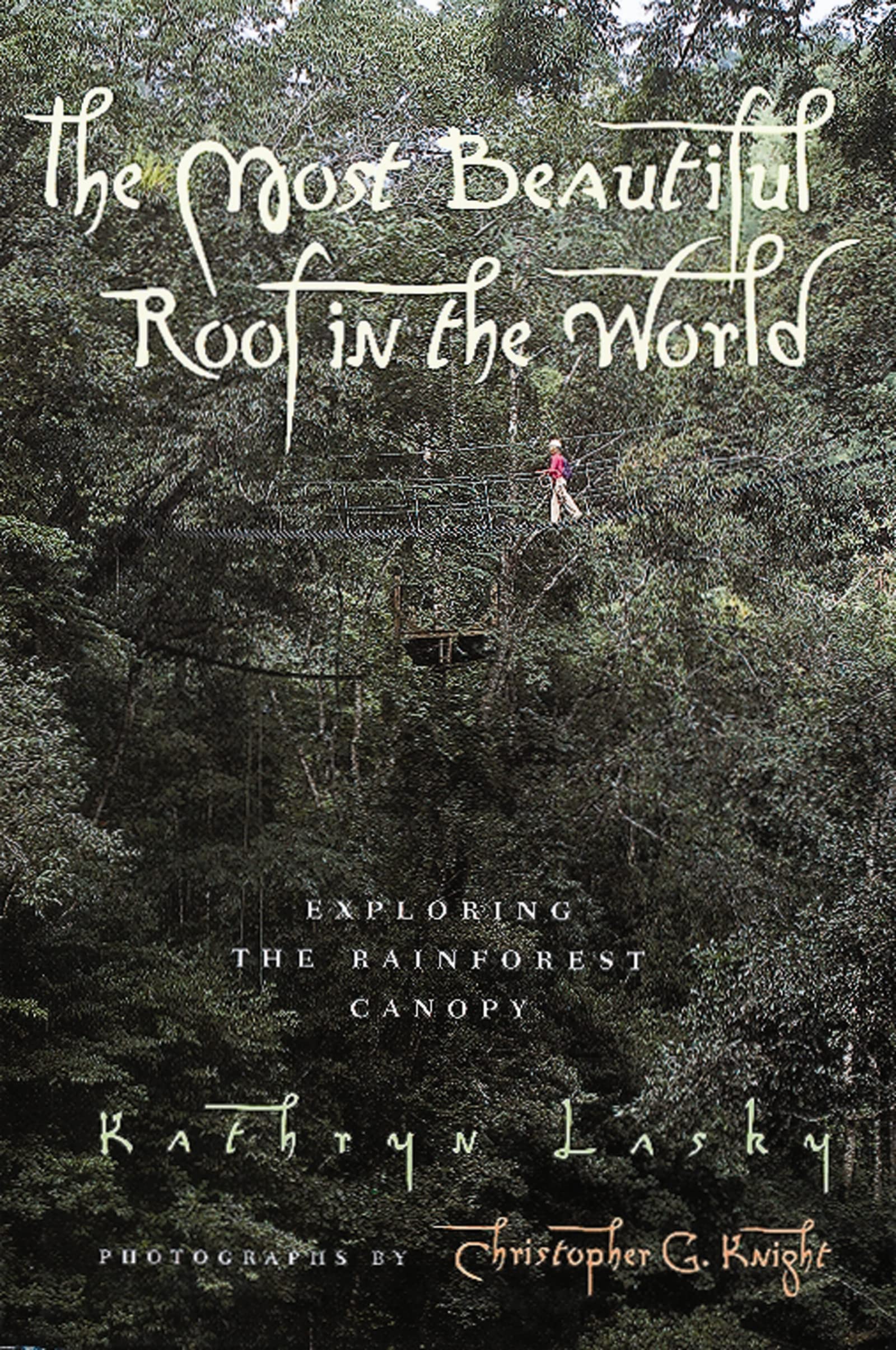 The Most Beautiful Roof In The World: Exploring The Rainforest Canopy,New