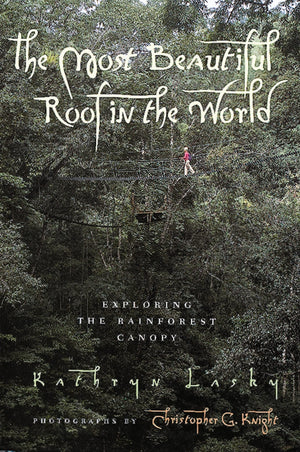The Most Beautiful Roof In The World: Exploring The Rainforest Canopy-new